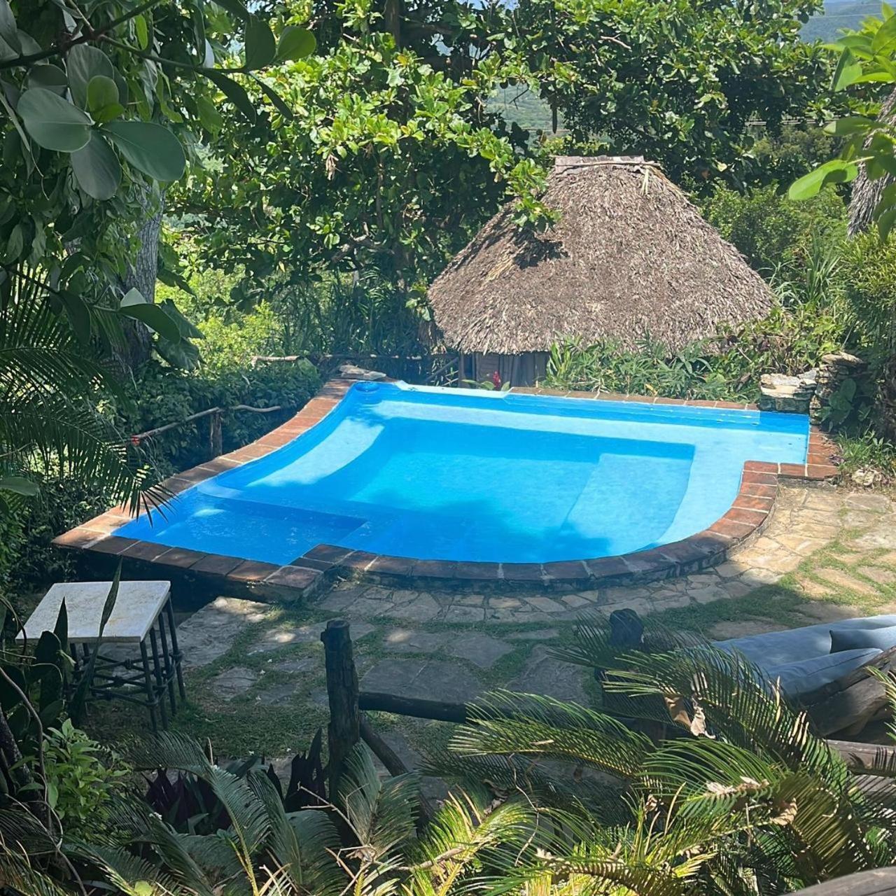 Ecolodge Tubagua Puerto Plata Экстерьер фото